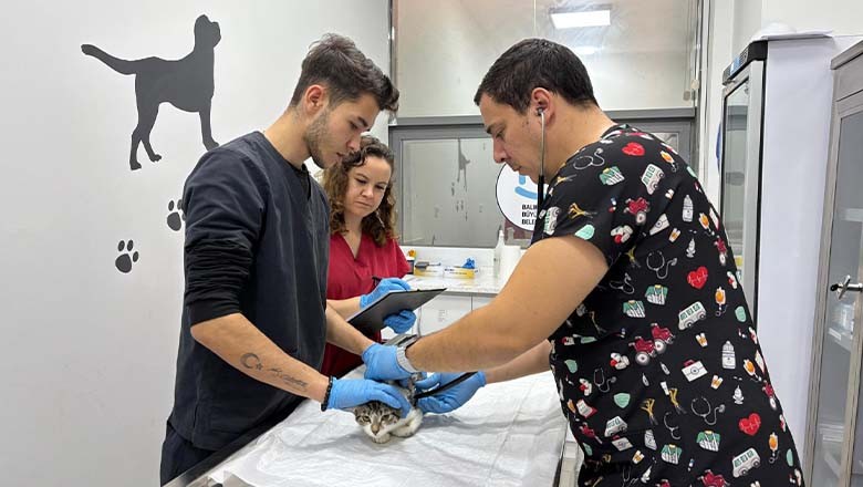 Bandırma’da 13.459 Can Tedavi Edildi Bandırma’da 13.459 Can Tedavi Edildi