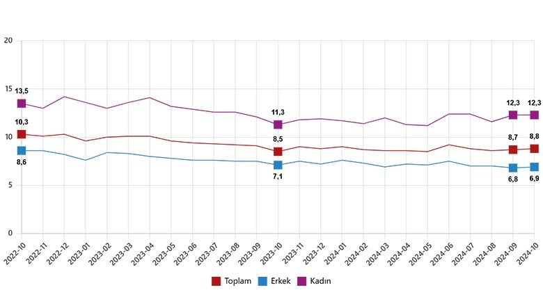 Ekim Ayı İşgücü İstatistikleri Açıklandı Ekim Ayı İşgücü İstatistikleri Açıklandı