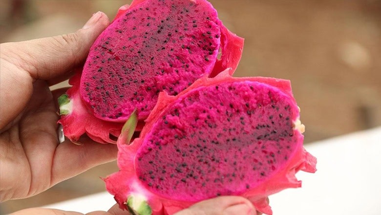 Kömürde Ejder Meyvesi Kebabı Kömürde Ejder Meyvesi Kebabı