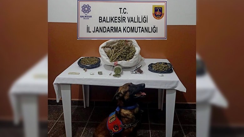 Manyas’ta 2 Kilo Esrar ve Tabanca Ele Geçirildi Manyas’ta 2 Kilo Esrar ve Tabanca Ele Geçirildi