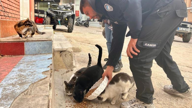 Marmara Adalar Belediyesi Sokak Hayvanlarını Unutmadı