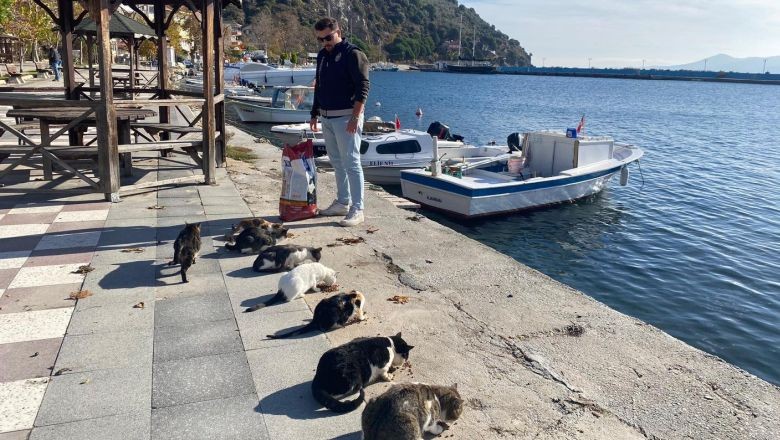 Marmara Adalar Belediyesi Sokak Hayvanlarını Unutmadı