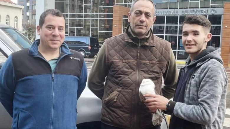 Bandırma'da Peçeli Baykuş Doğaya Salındı