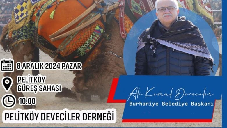 Pelitköy’de Geleneksel Deve Güreşleri Başlıyor