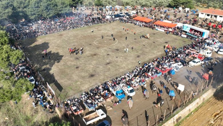 Balıkesir'de Folklorik Deve Gösterisi Nasıl Yapılır?