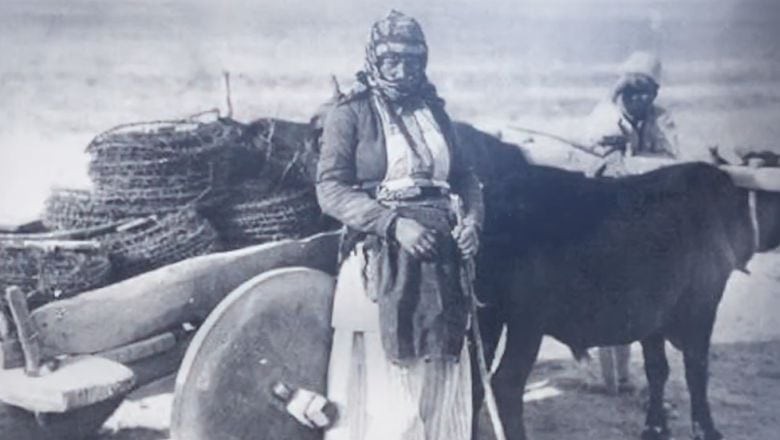 Halime Çavuş Kimdir?