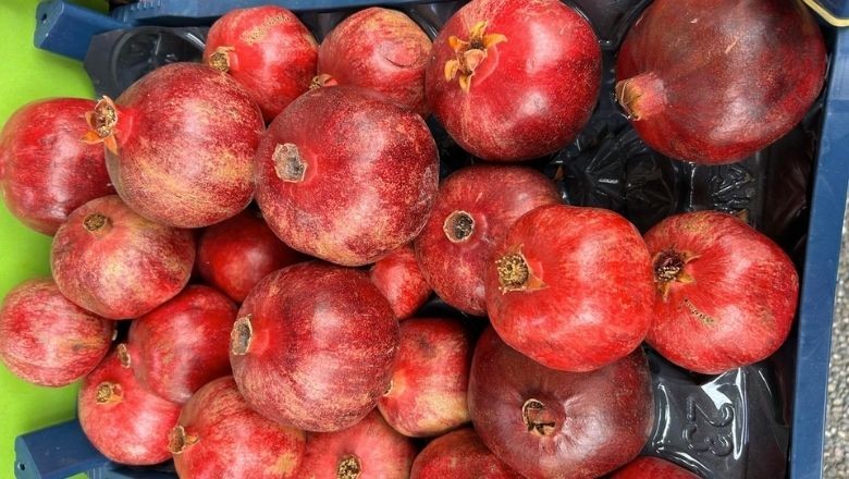Aralık Ayı Nar Satışlarına Hazır