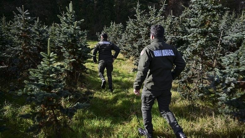 Ekipler 7/24 'Yılbaşı Ağacı' Nöbetinde