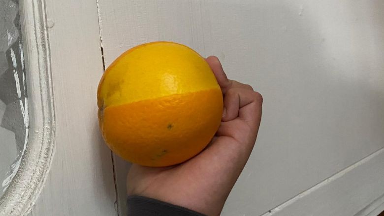 Balıkesir'de Vatandaş Şaşkına Döndü! "Portakal Aldık Şaşırdık"