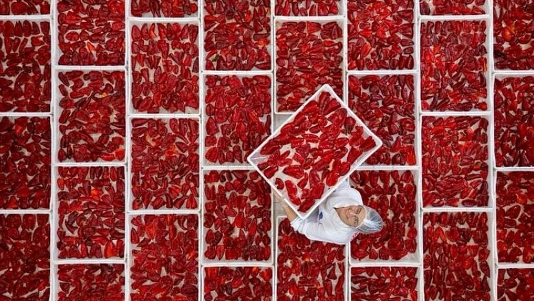 Sındırgı'da 1. Ulusal Fotoğraf Yarışması Sonuçlandı