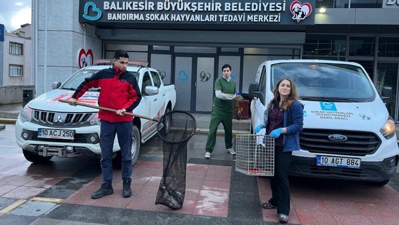 Ağaçta Mahsur Kalan Yaralı Martıyı İtfaiye Kurtardı