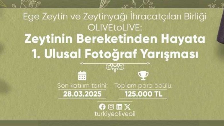 Zeytinin Bereketi Fotoğraflarla Anlatılacak