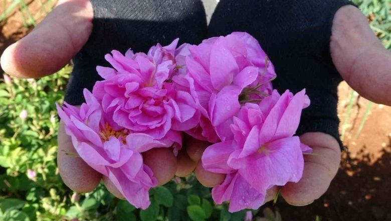Balıkesir'in Kırsalından Nesilden Nesile Aktarılıyor
