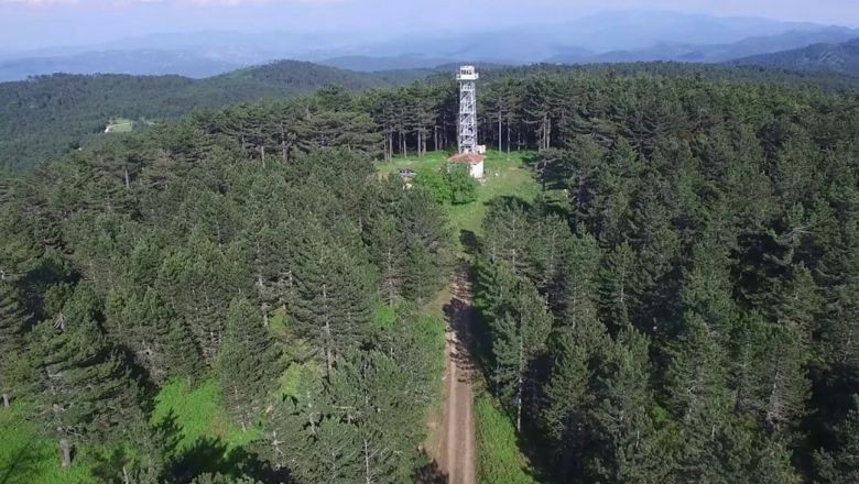 Dursunbey Alaçam Dağları’nda Bir Gün
