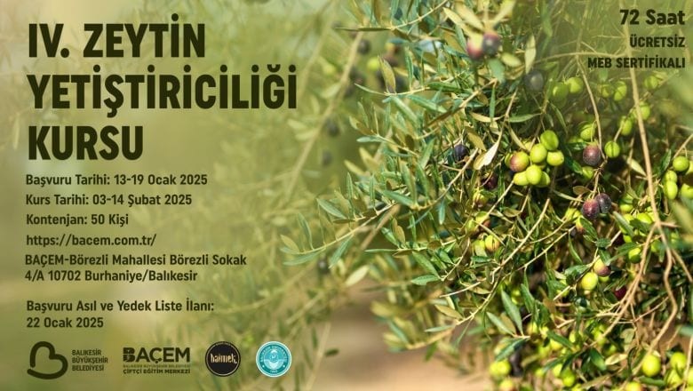 Zeytin Üretiminde Büyük Fırsat! Başvurular Başladı