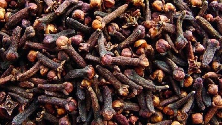 Balıkesir'de Karanfil Güzelliğe Katkıda Bulunuyor!