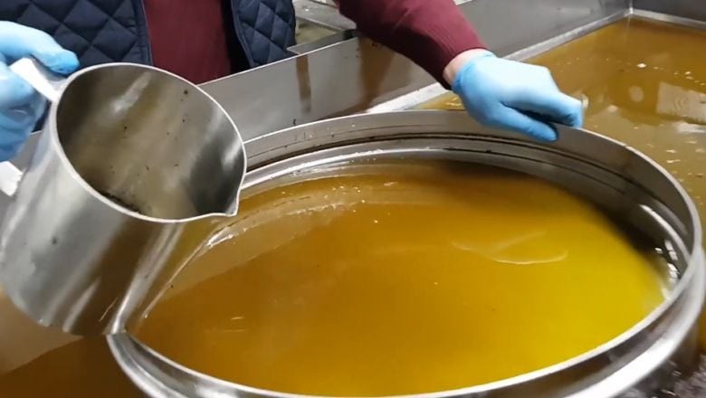 Ayvalık’ta Popüler! Zeytin Sütü Nedir?