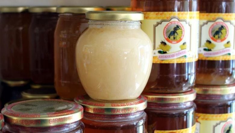 Doğal Hazine Balıkesir'in Madra Dağı'nda Saklı
