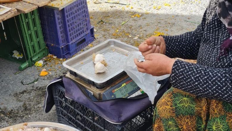 Sarımsak Artık Tane İle Alınıyor Sarımsak Artık Tane İle Alınıyor