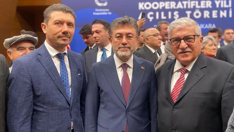 Yeni Kooperatif Stratejisi Masada