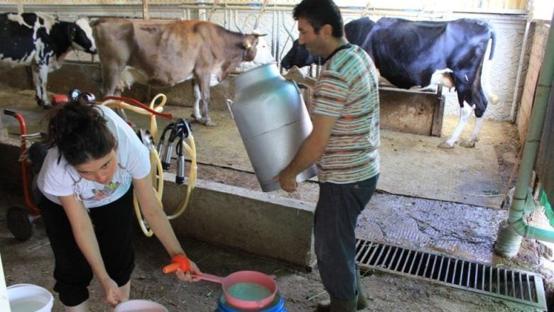 Balıkesir’de Süt Üreticilerine Yeni Fiyat
