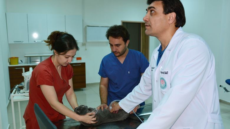 BAÜN Hayvan Hastanesi 2024 Verilerini Açıkladı
