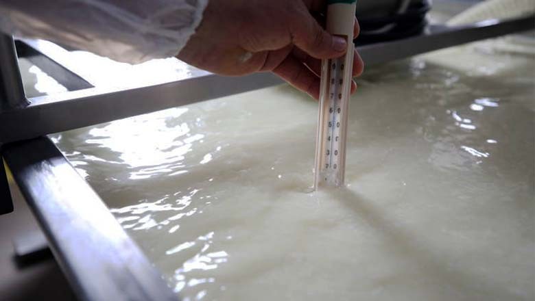 120 Gün Ağlayarak Sofraya Gelen O Peynir Balıkesir'in 120 Gün Ağlayarak Sofraya Gelen O Peynir Balıkesir'in