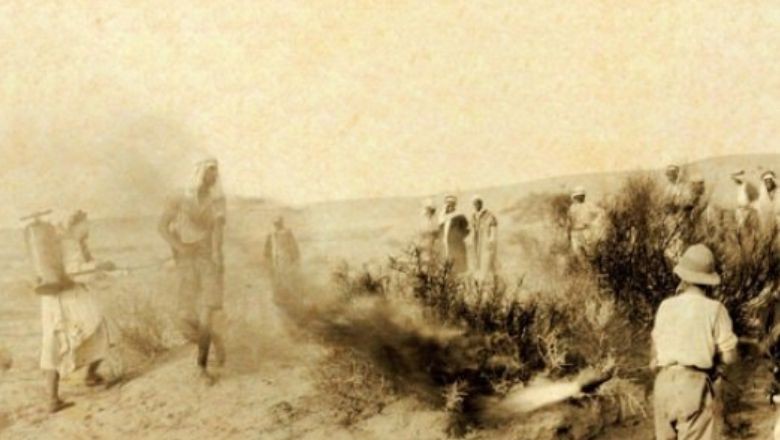 Balıkesir Tarihinde Çekirge Felaketi (1914)