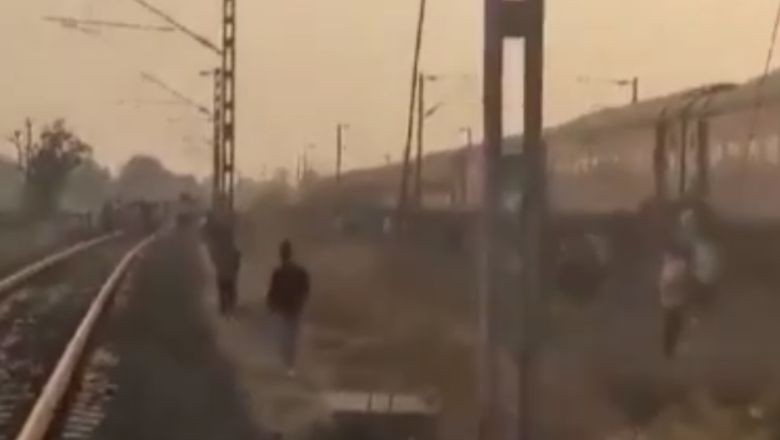 Trende Yaşanan Panik Canlarından Etti!