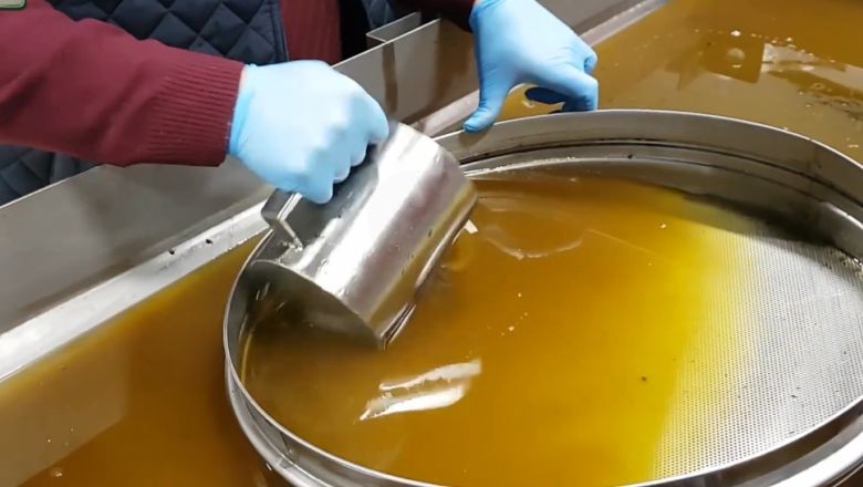 Ayvalık’ta Popüler! Zeytin Sütü Nedir?