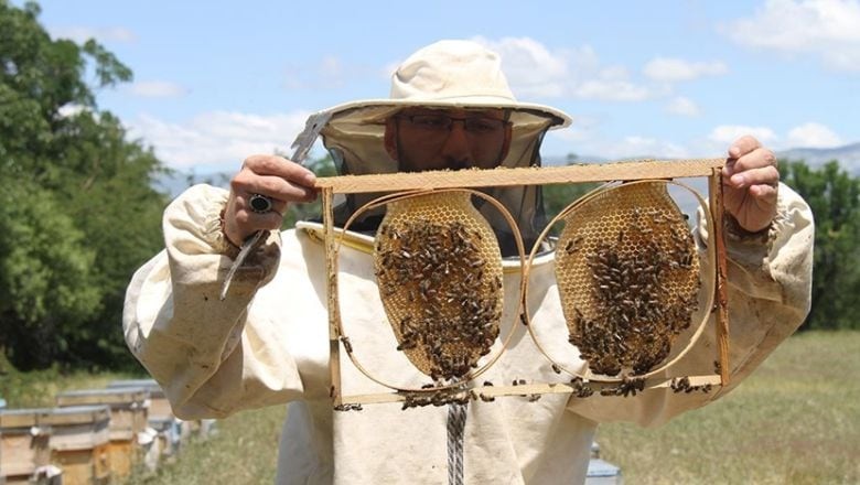 Doğal Hazine Balıkesir'in Madra Dağı'nda Saklı