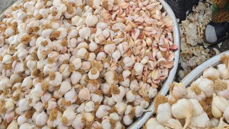 Sarımsak Artık Tane İle Alınıyor Sarımsak Artık Tane İle Alınıyor