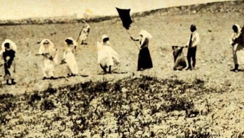 Balıkesir Tarihinde Çekirge Felaketi (1914)