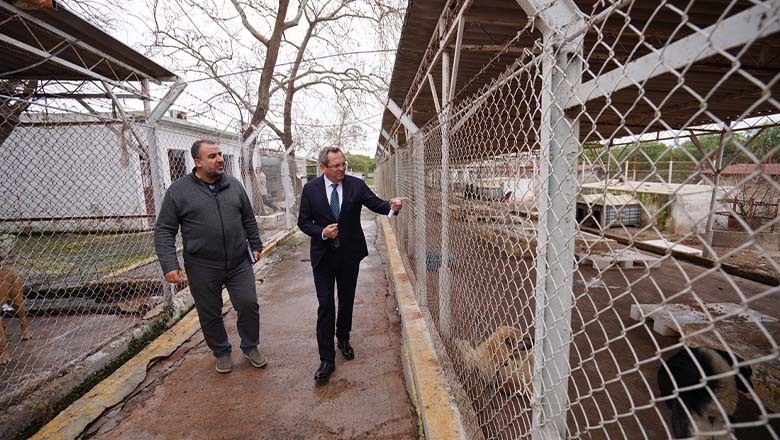 Ayvalık'ta 8440 Sokak Hayvanına Yardım Eli Uzandı Ayvalık'ta 8440 Sokak Hayvanına Yardım Eli Uzandı