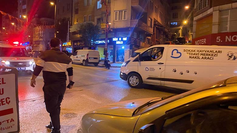 Bandırma'da Pitbull Dehşeti Bandırma'da Pitbull Dehşeti