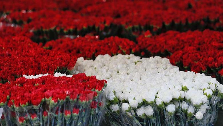 Karanfil: Çivi Gibi Kökeni Olan Kelime