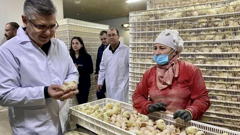 Türkiye’nin En Büyük Broiler Üssü Balıkesir'de