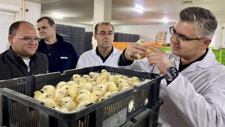 Türkiye’nin En Büyük Broiler Üssü Balıkesir'de