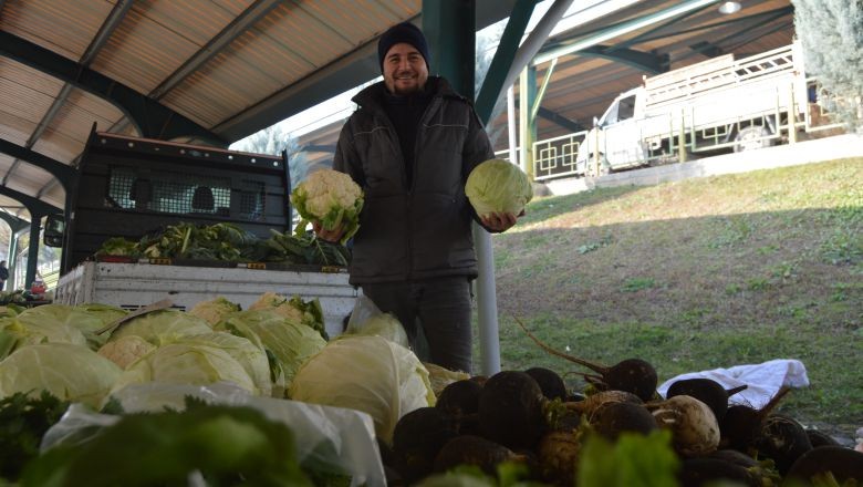 Pazarcıdan Lahana Üretimi Ve 2025 Beklentisi