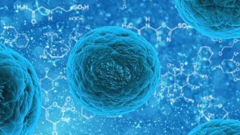 ABD’de Norovirüs Alarmı!