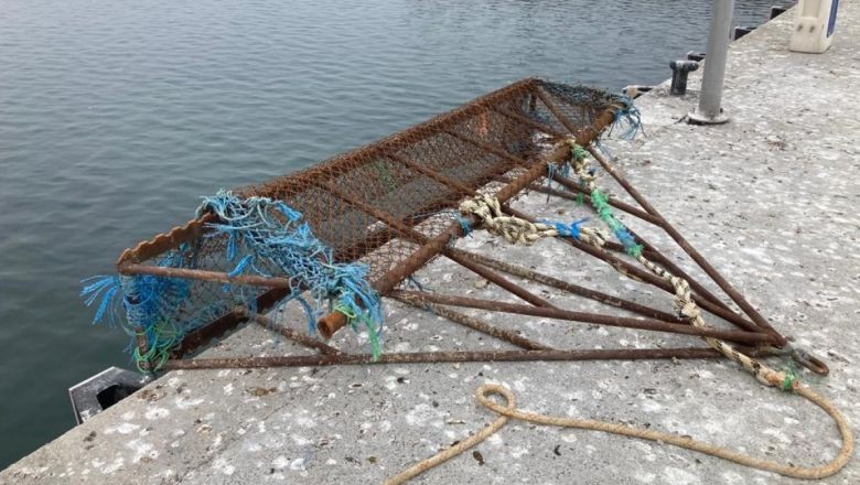 Balıkesir’de Algarna Sezonu Başladı