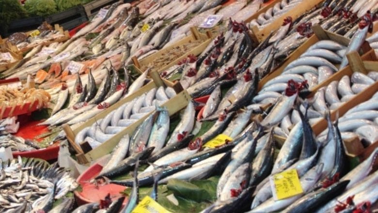 Balıkesir'de Şubat Ayında Hangi Balıklar Tüketilir?