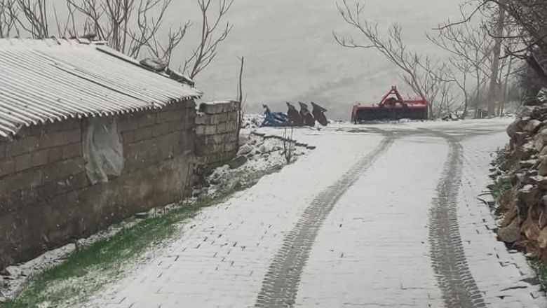Kepsut’ta Kar Yağışı Başladı Armutlu Beyaza Büründü