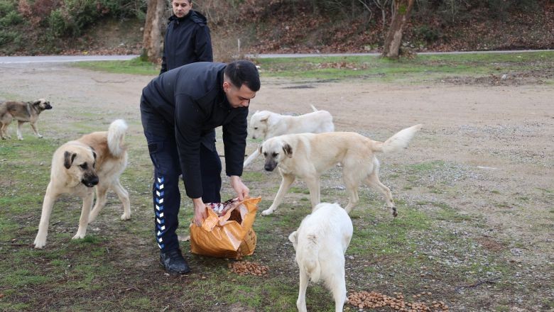 Balya Belediyesi Sokak Hayvanlarına Umut Oldu