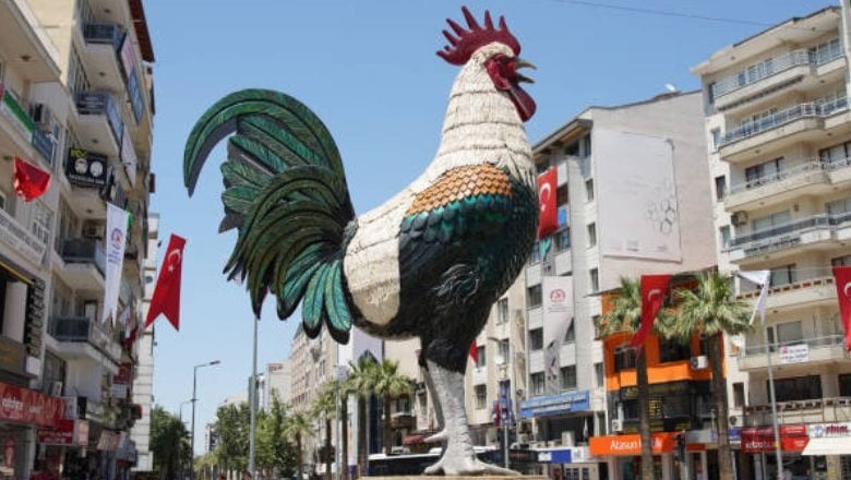 Denizli İlinin Kaç İlçesi Var ve En Büyük İlçeleri Hangileri?