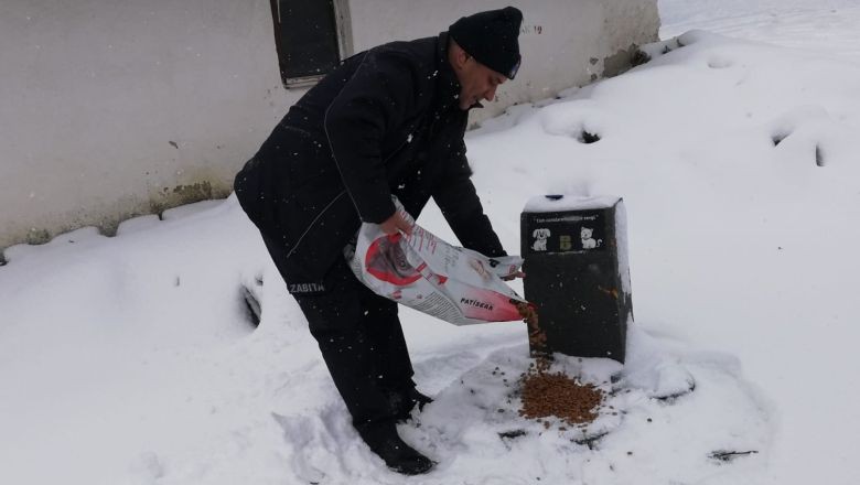 Havran Belediyesi Sokak Hayvanlarına El Uzattı