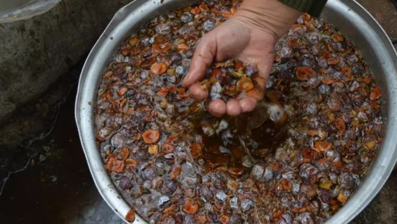 Balıkesir’de Andız Pekmezi Tercih Ediliyor