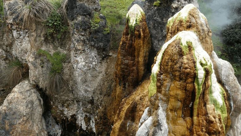Türkiye'de Sadece Sındırgı'da!