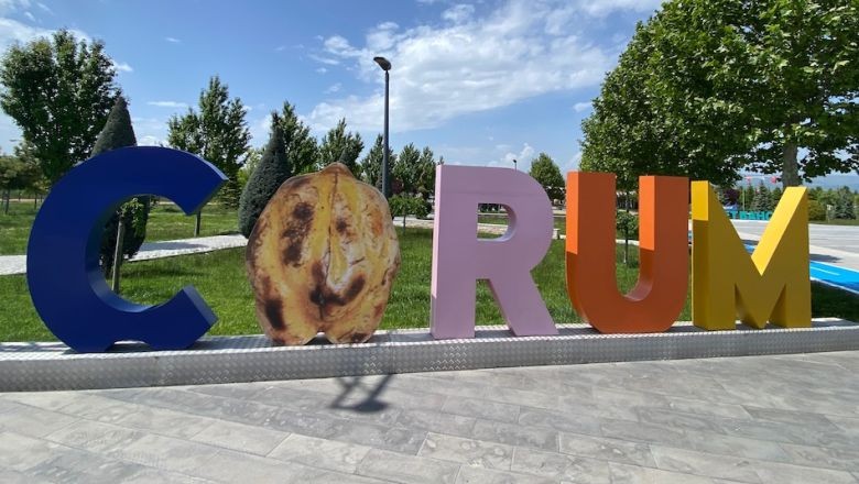 Çorum İlinin Kaç İlçesi Var ve En Büyük İlçeleri Hangileri?