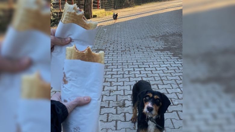 Savaştepe'nin O Köyü Tam Bir Kaçamak Noktası!